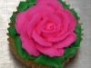 bpicture-060.jpg